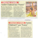 Article Dauphiné
